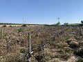 Baugrundstück in der Nähe von Monforte del Cid in  Dream Villas Alicante