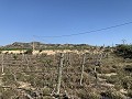 Baugrundstück in der Nähe von Monforte del Cid in  Dream Villas Alicante