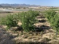 Baugrundstück in der Nähe von Monforte del Cid in  Dream Villas Alicante