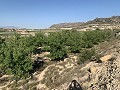 Baugrundstück in der Nähe von Monforte del Cid in  Dream Villas Alicante