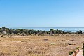 Apartamento de 2 dormitorios en Punta Prima in  Dream Villas Alicante