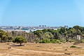 Apartamento de 2 dormitorios en Punta Prima in  Dream Villas Alicante