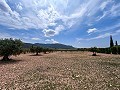 Wunderschönes ländliches Landhaus wartet auf einen Neuanfang in  Dream Villas Alicante