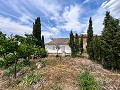 Wunderschönes ländliches Landhaus wartet auf einen Neuanfang in  Dream Villas Alicante
