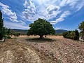 Wunderschönes ländliches Landhaus wartet auf einen Neuanfang in  Dream Villas Alicante