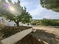 Spacious 230 m² Cave House with Mountain Views Near Pinoso in  Dream Villas Alicante