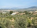 Spacious 230 m² Cave House with Mountain Views Near Pinoso in  Dream Villas Alicante