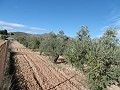 Cozy 2-Bedroom Country Home with Stunning Views and Paved Access, 11 km from Yecla in  Dream Villas Alicante