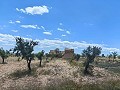 Ruina en Pinoso con suficiente terreno para construir una nueva vivienda in  Dream Villas Alicante