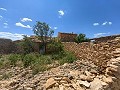 Ruina en Pinoso con suficiente terreno para construir una nueva vivienda in  Dream Villas Alicante