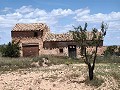 Ruina en Pinoso con suficiente terreno para construir una nueva vivienda in  Dream Villas Alicante
