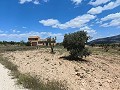 Ruina en Pinoso con suficiente terreno para construir una nueva vivienda in  Dream Villas Alicante