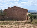 Ruina en Pinoso con suficiente terreno para construir una nueva vivienda in  Dream Villas Alicante