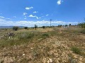 Ruina en Pinoso con suficiente terreno para construir una nueva vivienda in  Dream Villas Alicante
