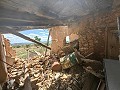 Ruina en Pinoso con suficiente terreno para construir una nueva vivienda in  Dream Villas Alicante