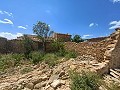 Ruina en Pinoso con suficiente terreno para construir una nueva vivienda in  Dream Villas Alicante