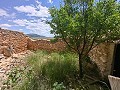 Ruina en Pinoso con suficiente terreno para construir una nueva vivienda in  Dream Villas Alicante