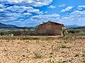 Ruina en Pinoso con suficiente terreno para construir una nueva vivienda in  Dream Villas Alicante