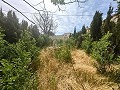 Maravillosa Casa Cueva con Terreno a tan solo 10 minutos de Pinoso in  Dream Villas Alicante