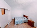 Maravillosa Casa Cueva con Terreno a tan solo 10 minutos de Pinoso in  Dream Villas Alicante