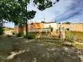 Maravillosa Casa Cueva con Terreno a tan solo 10 minutos de Pinoso in  Dream Villas Alicante