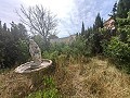 Maravillosa Casa Cueva con Terreno a tan solo 10 minutos de Pinoso in  Dream Villas Alicante