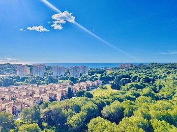 Apartamento de 2 habitaciones en Dehesa De Campoamor