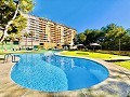 Apartamento de 2 habitaciones en Dehesa De Campoamor in  Dream Villas Alicante