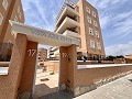 3-Zimmer-Wohnung in Guardamar del Segura in  Dream Villas Alicante