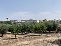 Villa with Private Pool, 3 Beds, seperate garage and Olive Trees in  Dream Villas Alicante