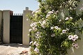 Prachtige villa met 3 slaapkamers en 2 badkamers in Abanilla. in  Dream Villas Alicante