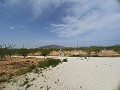 Schöne Villa mit 6 Schlafzimmern und 5 Bädern in Pinoso. in  Dream Villas Alicante