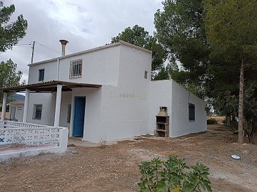 Schönes Landhaus mit 5 Schlafzimmern, 2 Bädern und Pool in Yecla.