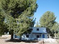 Schönes Landhaus mit 5 Schlafzimmern, 2 Bädern und Pool in Yecla. in  Dream Villas Alicante