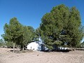 Schönes Landhaus mit 5 Schlafzimmern, 2 Bädern und Pool in Yecla. in  Dream Villas Alicante