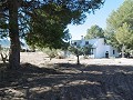 Schönes Landhaus mit 5 Schlafzimmern, 2 Bädern und Pool in Yecla. in  Dream Villas Alicante