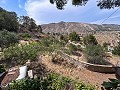 Prachtig landhuis met ongelooflijk uitzicht op de bergen in Petrer in  Dream Villas Alicante