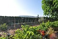 Prachtige villa met 4 slaapkamers en 2 badkamers in Villena. in  Dream Villas Alicante