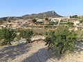 Lovely 3 Bedroom 2 Bathroom Villa in Fortuna. in  Dream Villas Alicante
