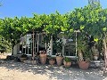 Mooi Landhuis in  Dream Villas Alicante