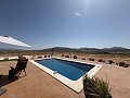 Superbes villas neuves à Pinoso, Alicante in  Dream Villas Alicante