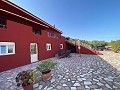 ¡Maravillosa villa de 5 dormitorios y 4 baños en Encebras (Pinoso) con hermosas vistas! in  Dream Villas Alicante