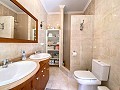 ¡Maravillosa villa de 5 dormitorios y 4 baños en Encebras (Pinoso) con hermosas vistas! in  Dream Villas Alicante