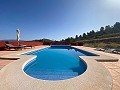 ¡Maravillosa villa de 5 dormitorios y 4 baños en Encebras (Pinoso) con hermosas vistas! in  Dream Villas Alicante