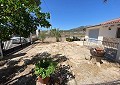 3 Bed 2 Bath Villa with 3 Bed 1 Bath Guest House in Salinas. in  Dream Villas Alicante