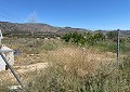 3 Bed 2 Bath Villa with 3 Bed 1 Bath Guest House in Salinas. in  Dream Villas Alicante