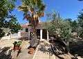 3 Bed 2 Bath Villa with 3 Bed 1 Bath Guest House in Salinas. in  Dream Villas Alicante