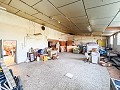 Large Country House with Pool and Annex in Sax in  Dream Villas Alicante
