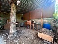 Large Country House with Pool and Annex in Sax in  Dream Villas Alicante