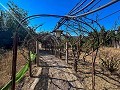 Large Country House with Pool and Annex in Sax in  Dream Villas Alicante